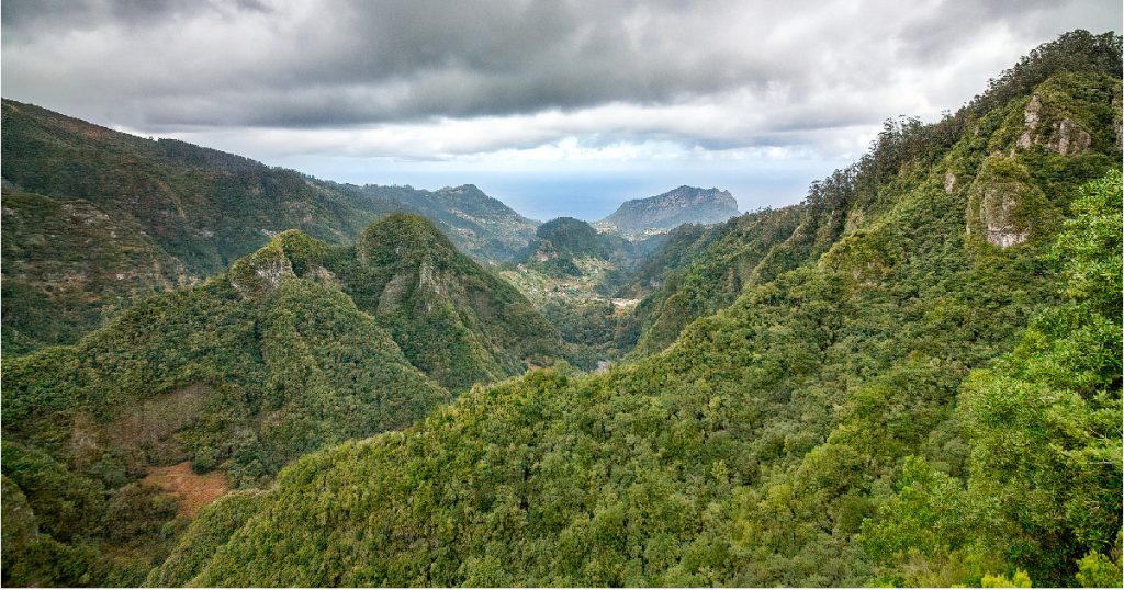 Balcões View
