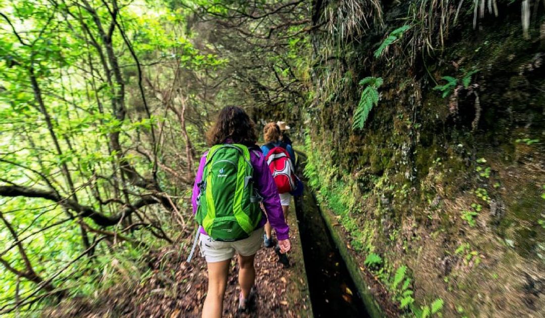 Top 10 Reasons to Choose Guided Walks in Madeira
