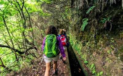 Top 10 Reasons to Choose Guided Walks in Madeira