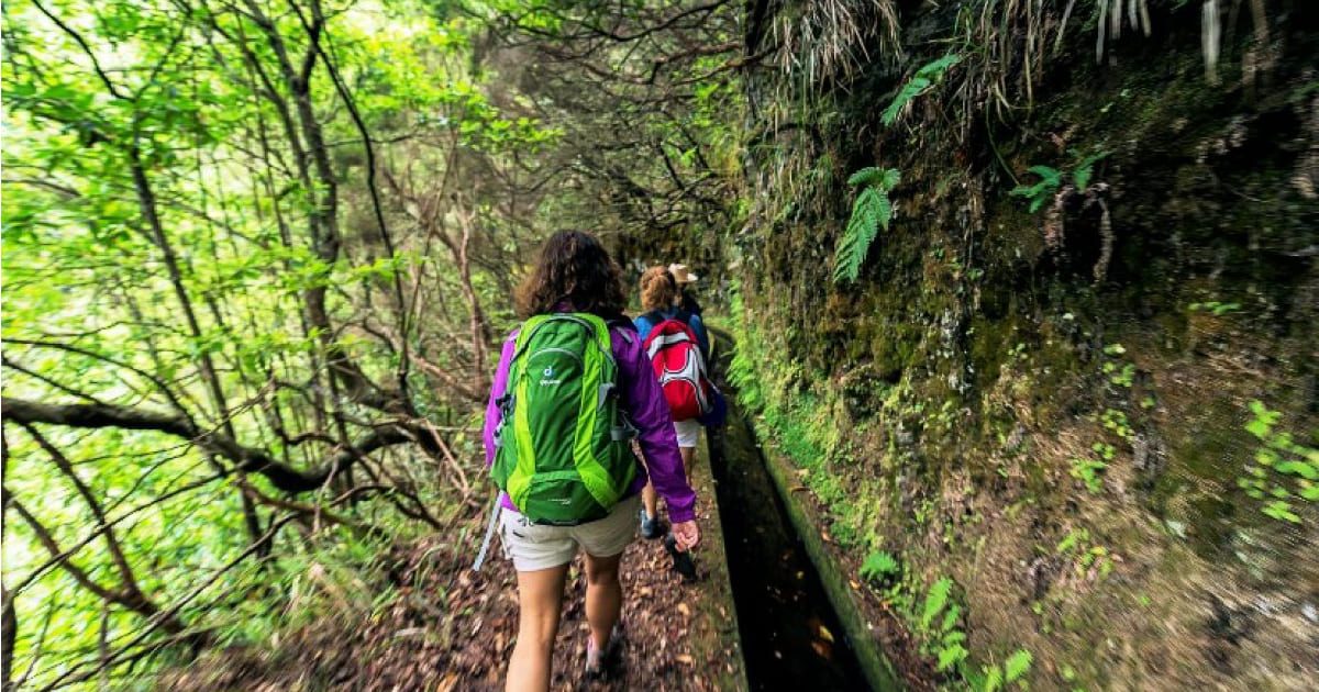 Levada: Guided Walks in Madeira