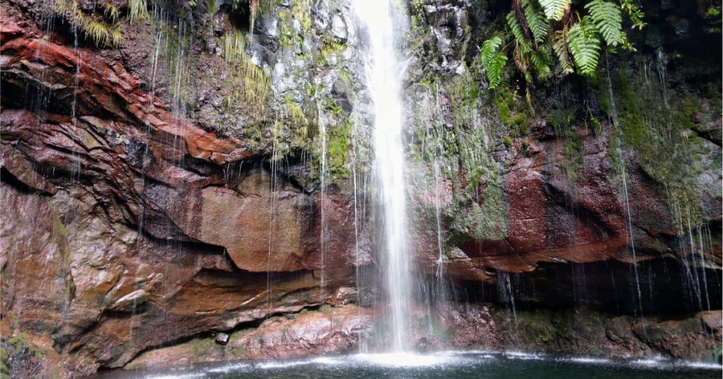 madeira best walks: Levada do Alecrim