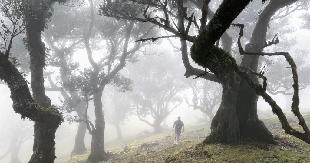 Madeira best walks: Fanal