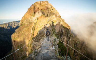 Madeira Best Walks: Top 10 Trails for Every Skill Level