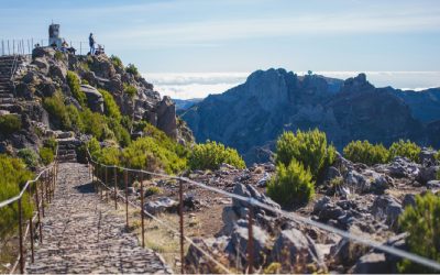 Must Do in Madeira: Top 9 Unforgettable Experiences