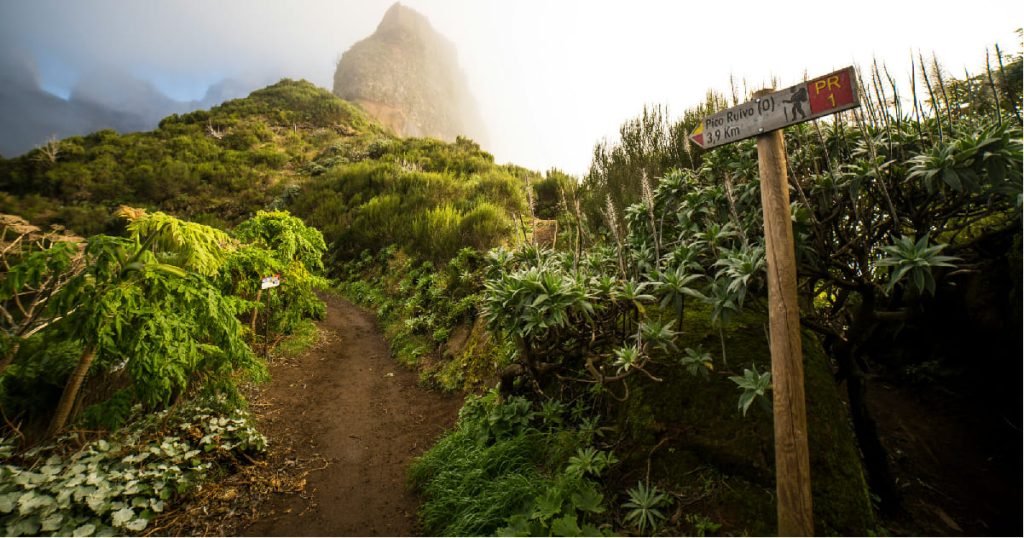 Best time to visit Madeira: Spring?